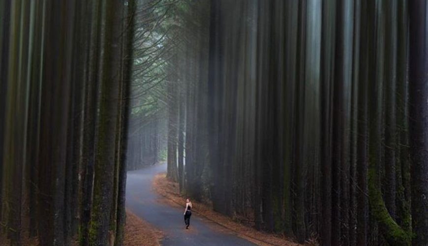 37 Awe-Inspiring Oregon Trails to Hike In 2024