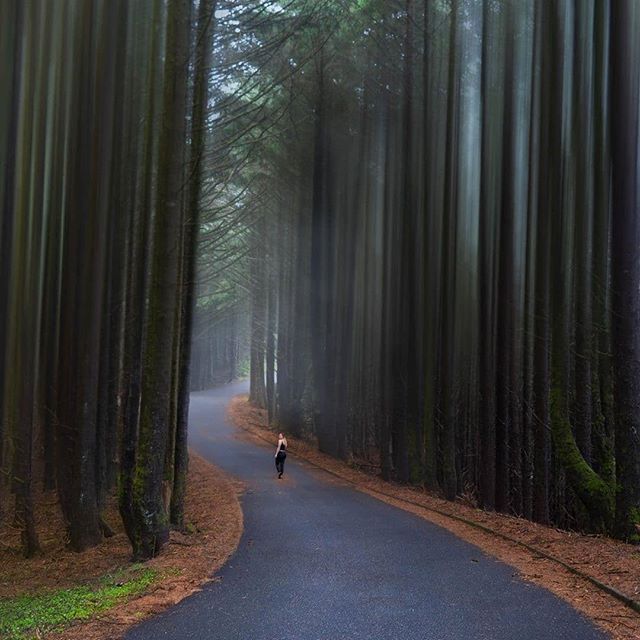 37 Awe-Inspiring Oregon Trails to Hike In 2024