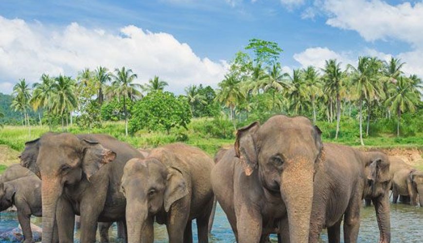 Travel Sri Lanka: 30 Photos That Will Make You Pack Your Bags And Go