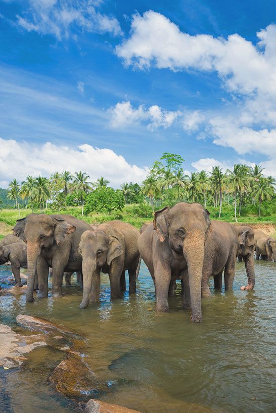 Travel Sri Lanka: 30 Photos That Will Make You Pack Your Bags And Go