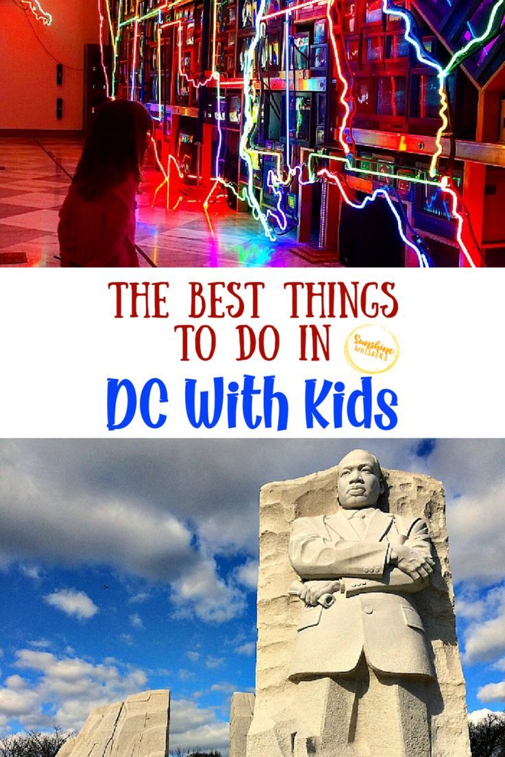 Best Things to Do in DC with Kids