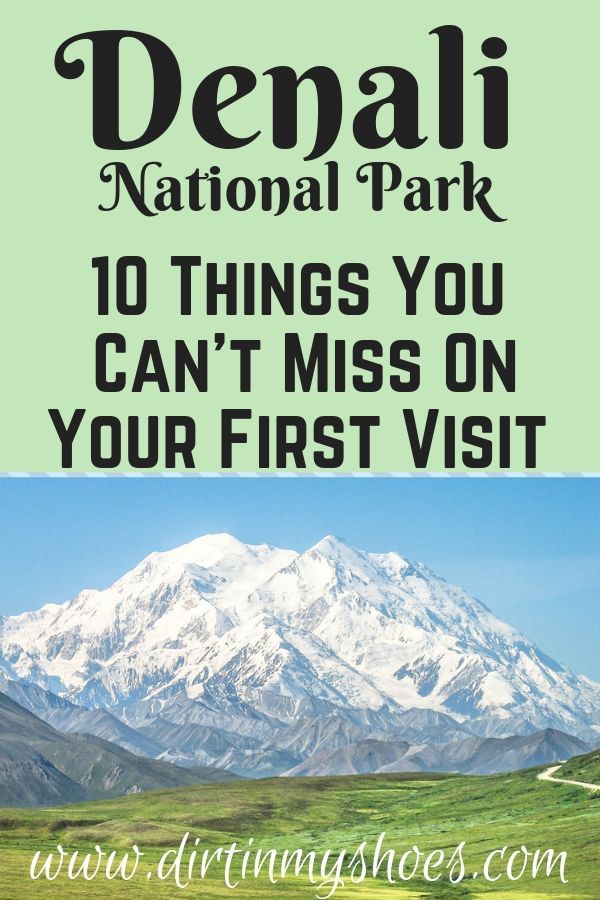 10 Things You Can’t Miss On Your First Visit to Denali