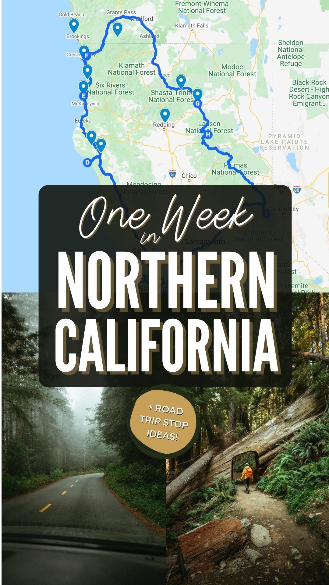 The Best Northern California Road Trip Itinerary | The Mandagies