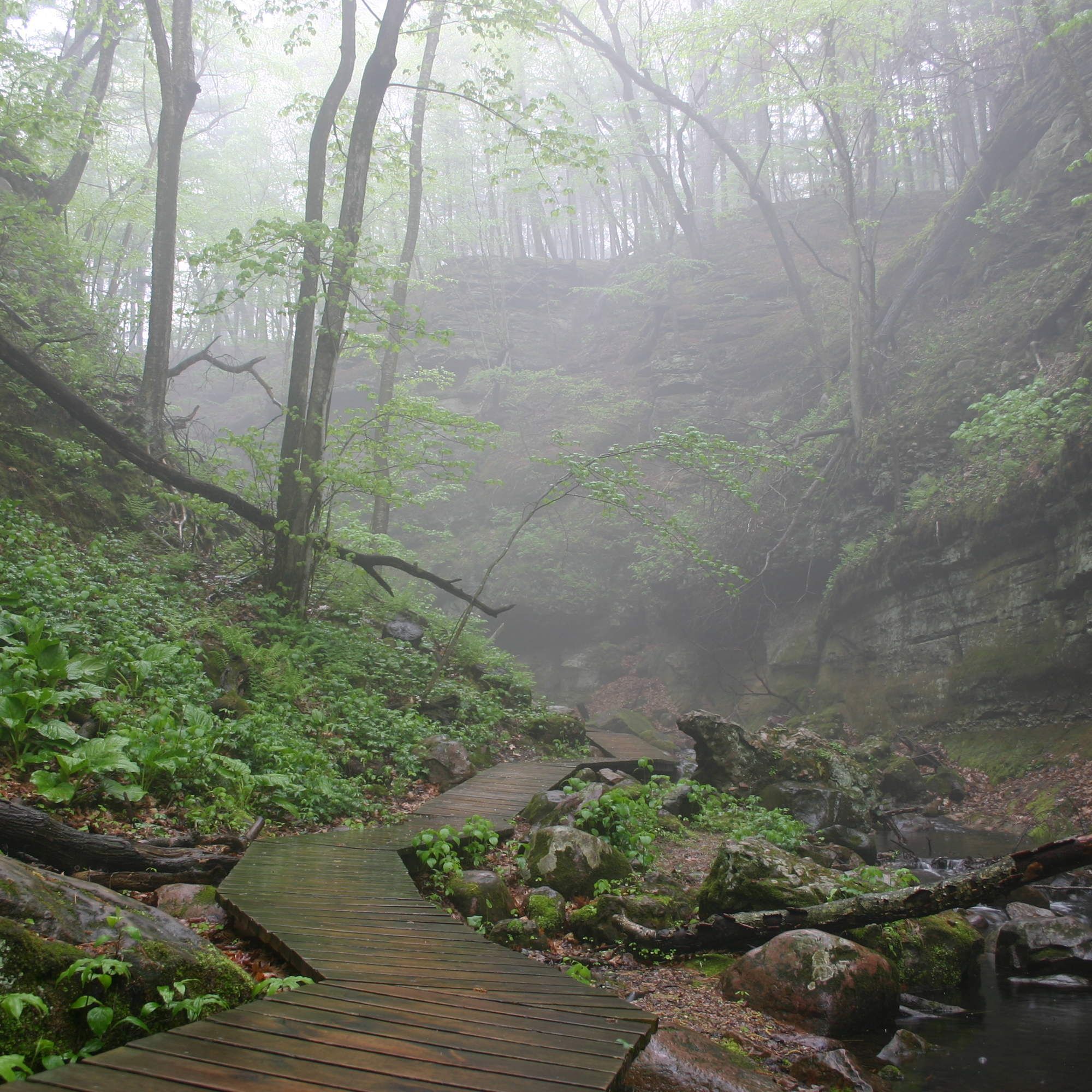 Wisconsin’s Most Beautiful Road Trip Destinations