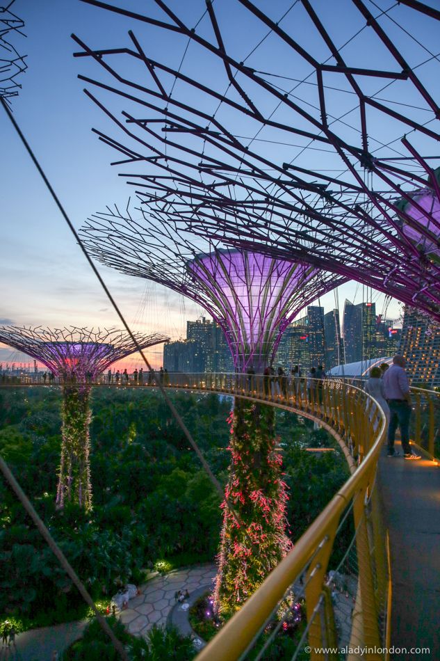 3 Days in Singapore – An Itinerary for the Best Things to Do and See