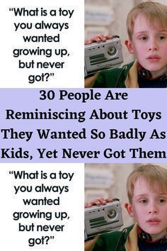 30 People Are Reminiscing About Toys They Wanted So Badly As Kids, Yet Never Got Them