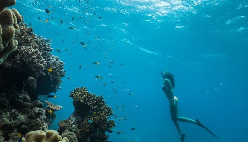 Explore The Great Barrier Reef Queensland, Australia