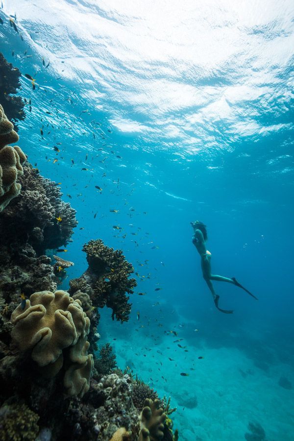 Explore The Great Barrier Reef Queensland, Australia