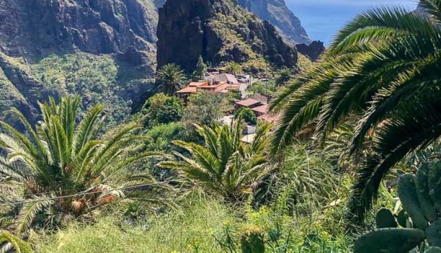 Tenerife North: Discovering Garachico, La Oratava, & Masca