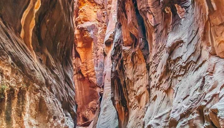 10 Incredible Zion Hikes: a Complete Guide To Hiking in Zion National Park