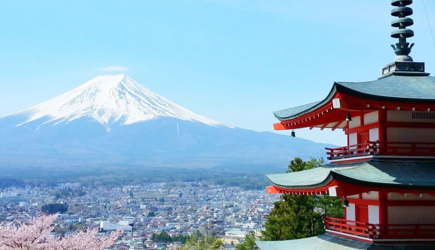 Japan cherry blossoms picture