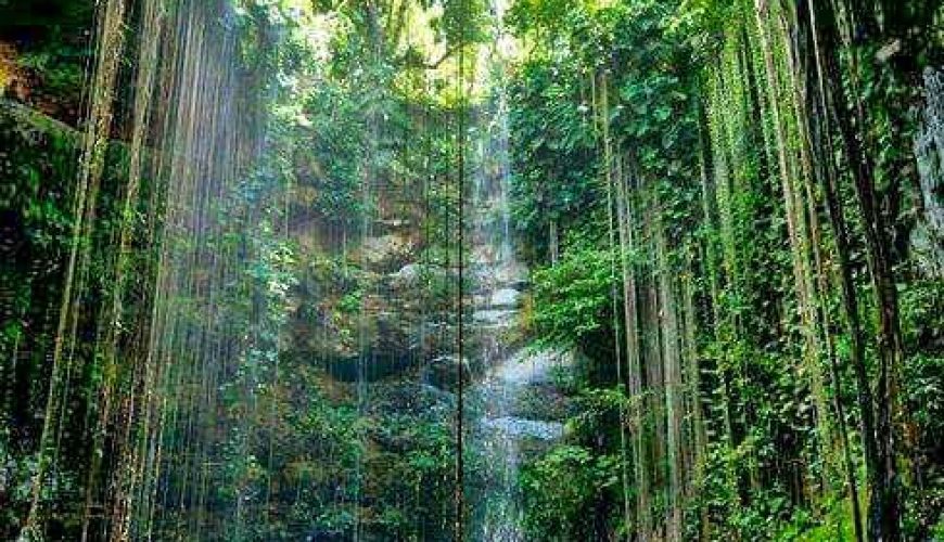 The Top 20 Things To Do In Jamaica for Nature Lovers