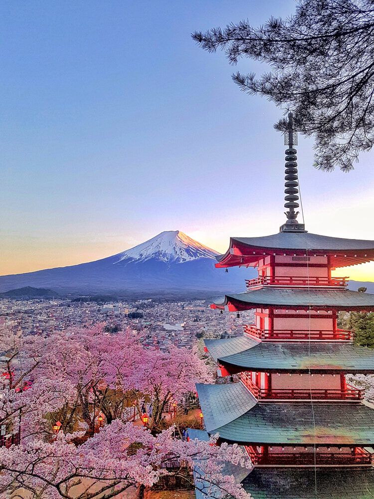 41 Things to know before visiting Japan for the first time: Etiquette and Cultural Guide  — Helena Bradbury