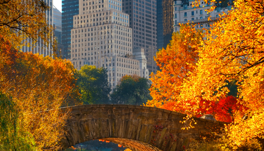 Fall in NYC