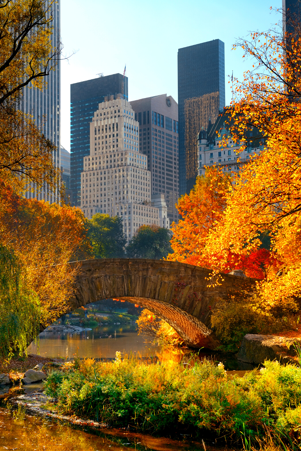 Fall in NYC