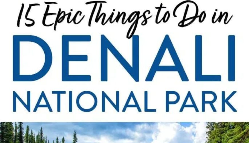 16 Best Things to Do in Denali National Park