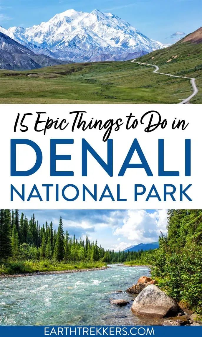 16 Best Things to Do in Denali National Park