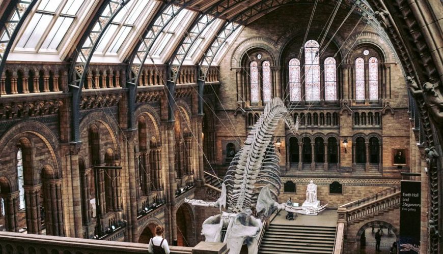 The Natural History Museum, London