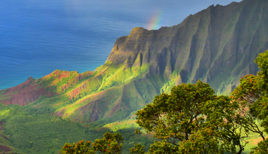 The Best Things to Do In Kauai – The Traveling Traveler