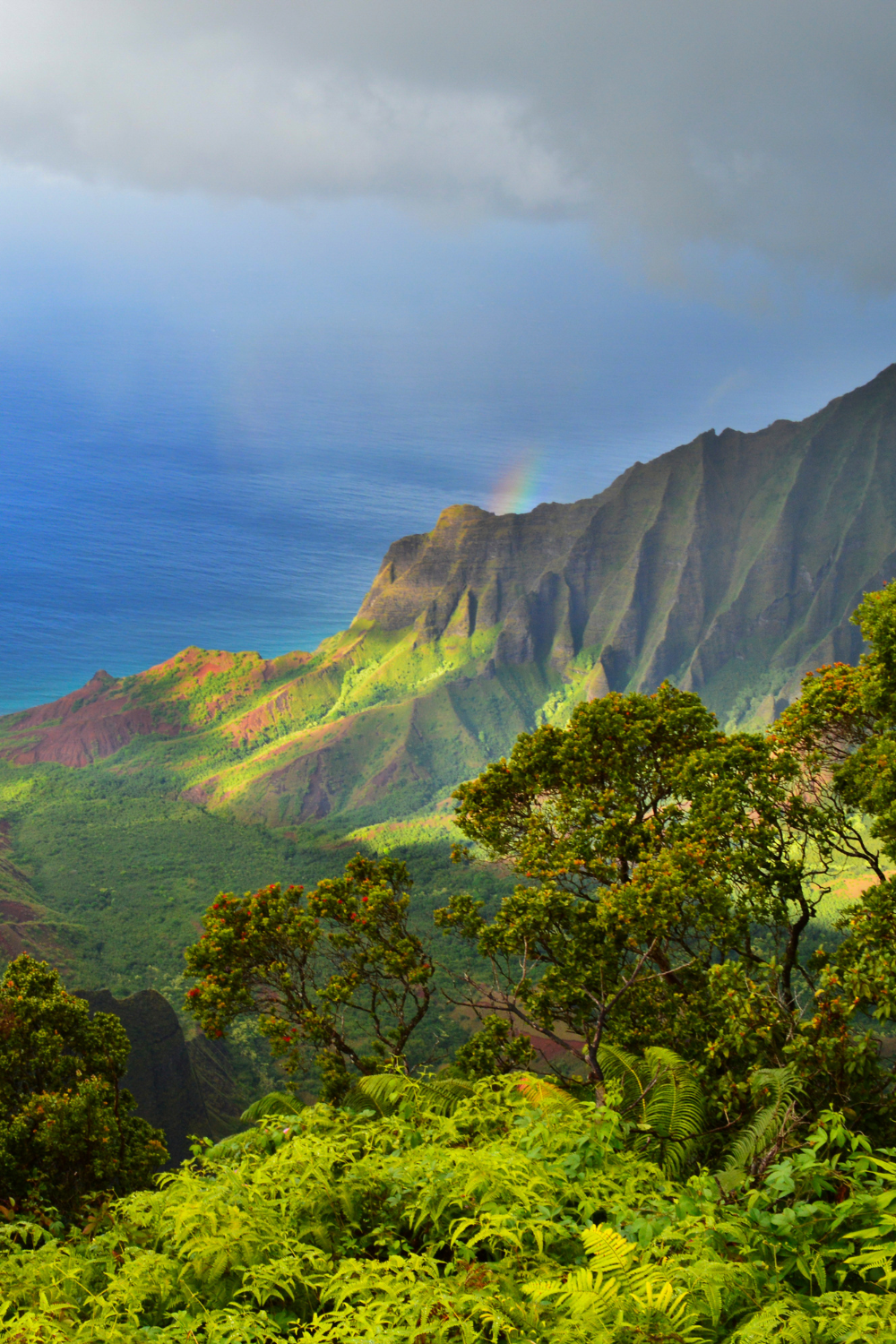 The Best Things to Do In Kauai – The Traveling Traveler