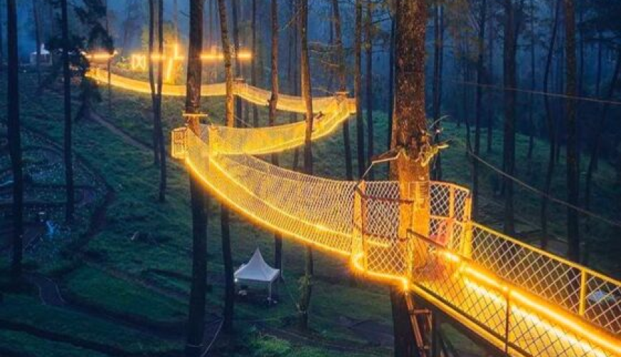 You Can Visit A Treetop Skywalk In Tennessee That Has The Longest Tree-Based Bridges In America