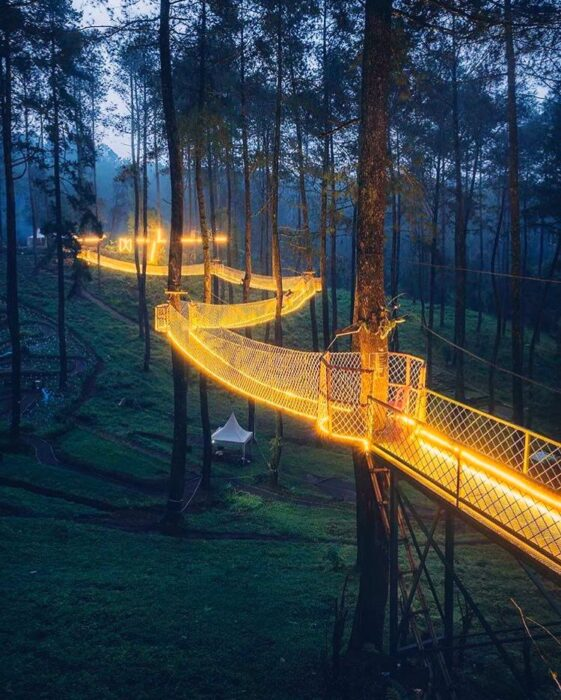 You Can Visit A Treetop Skywalk In Tennessee That Has The Longest Tree-Based Bridges In America