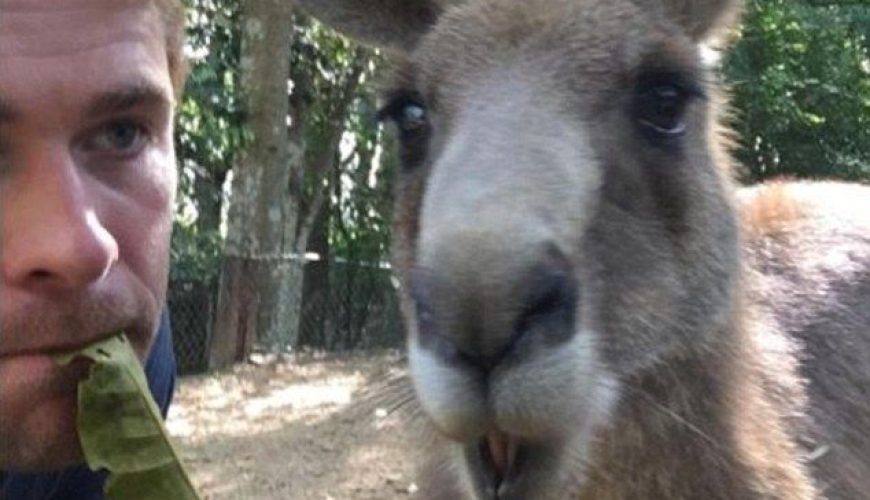 Chris Hemsworth and family go on Australian holiday to lure tourists