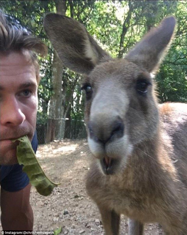 Chris Hemsworth and family go on Australian holiday to lure tourists