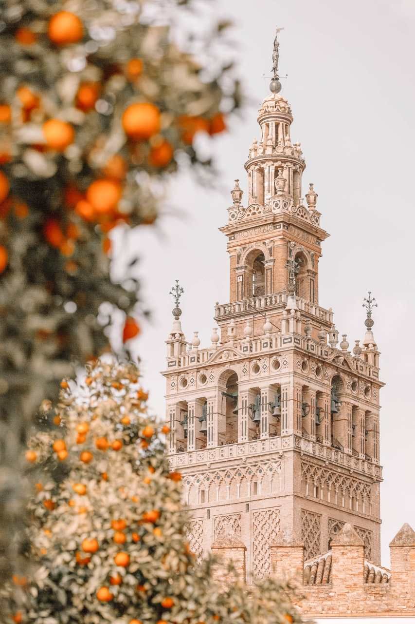 11 Best Things To Do In Seville, Spain