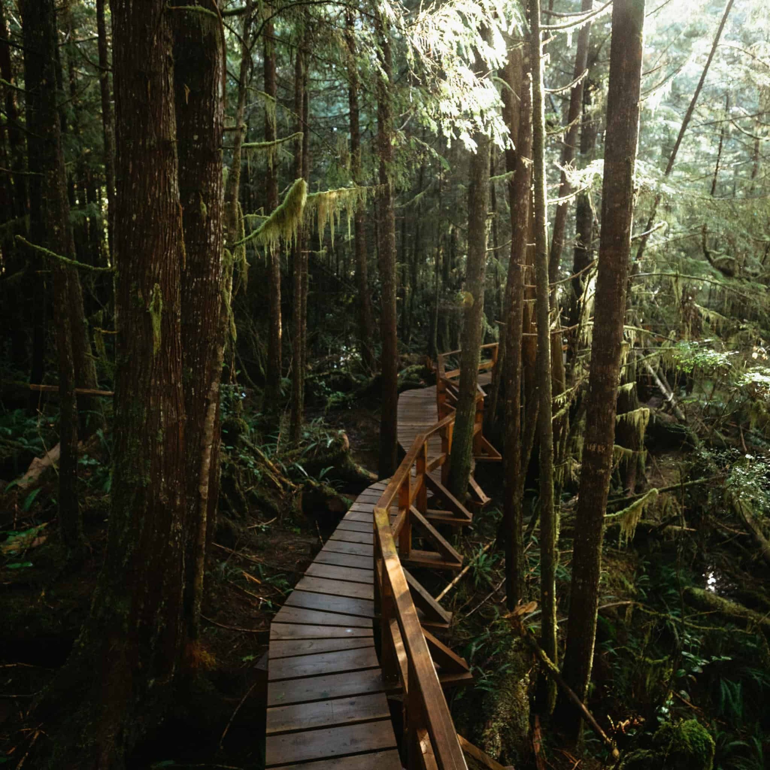 17 EPIC Things To Do In Tofino, BC In 2024 – The Mandagies