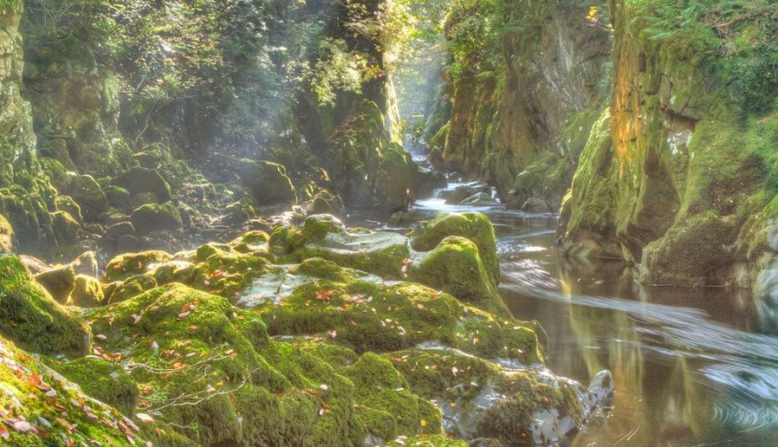 The Fairy Glen, Conwy.