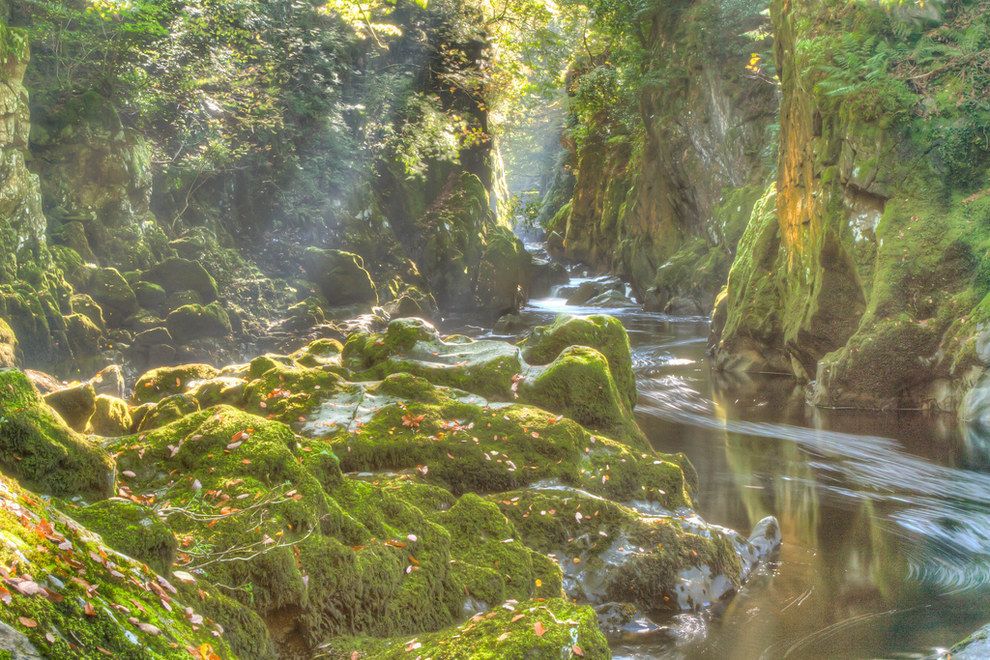 The Fairy Glen, Conwy.