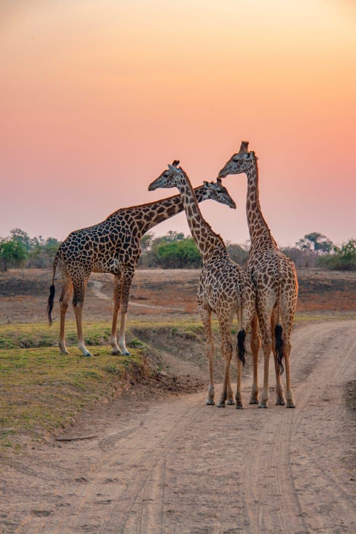 Here’s What National Parks Look Like In 20 Different Countries