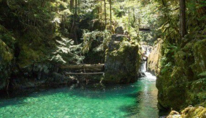 Hiking Opal Creek (Oregon)