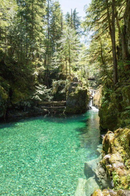 Hiking Opal Creek (Oregon)