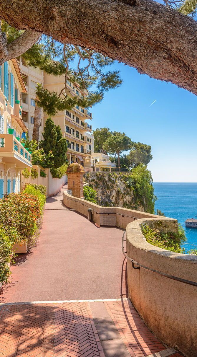 Live Long, Live Well—Hotels and Spas in Monaco