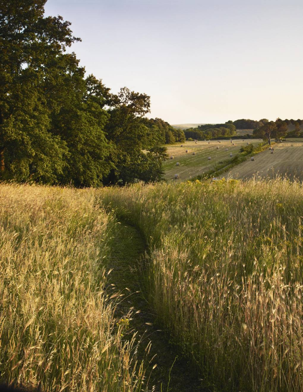 A subtly romantic garden in Italy planted with sustainability in mind