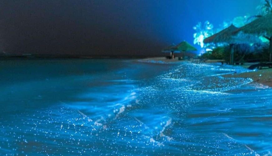 Glowing Beach, Vaadhoo Island in the Maldives