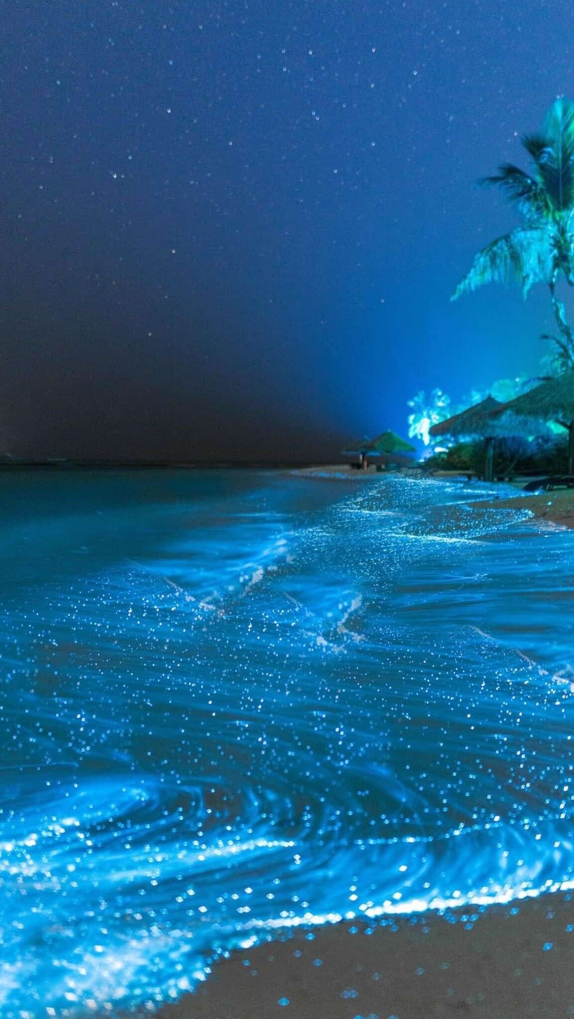 Glowing Beach, Vaadhoo Island in the Maldives