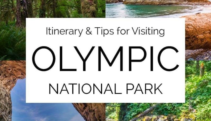 Olympic National Park Itinerary (1-3 Days) & Tips for Planning Your Visit