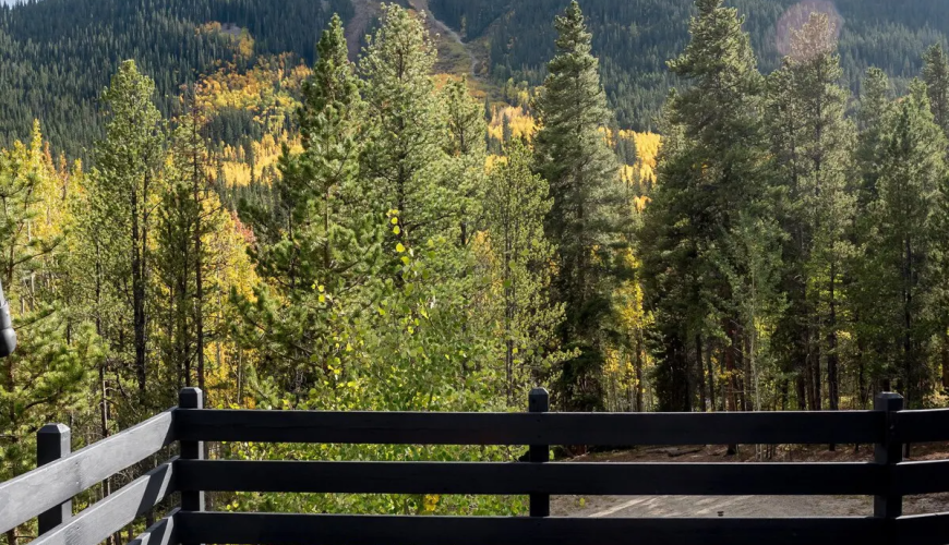 My Favorite Airbnb in Colorado: A Light-Filled Cabin Near Denver with Mountain Views From the Hot Tub