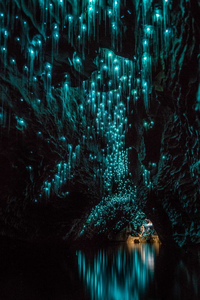 Glow Worms Turn New Zealand Cave Into Starry Night And I Spent Past Year Photographing It