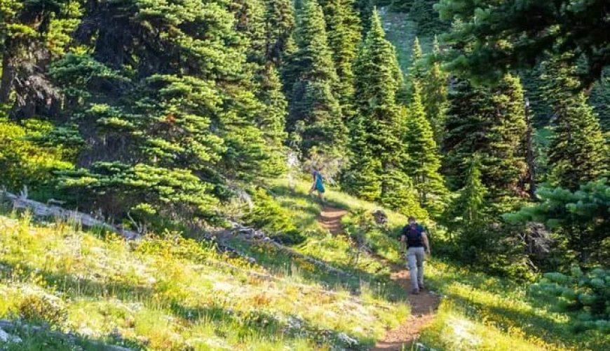 Hiking the Klahhane Ridge Trail to Mount Angeles, Olympic NP