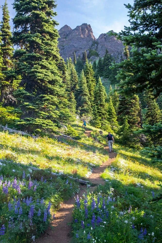 Hiking the Klahhane Ridge Trail to Mount Angeles, Olympic NP