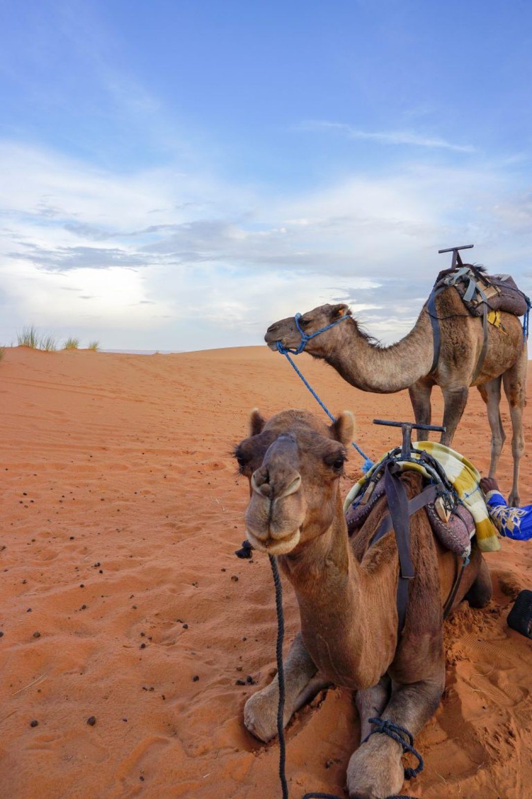 Camping in Morocco: Experience an Incredible Sahara Desert Luxury Camp – This Darling World