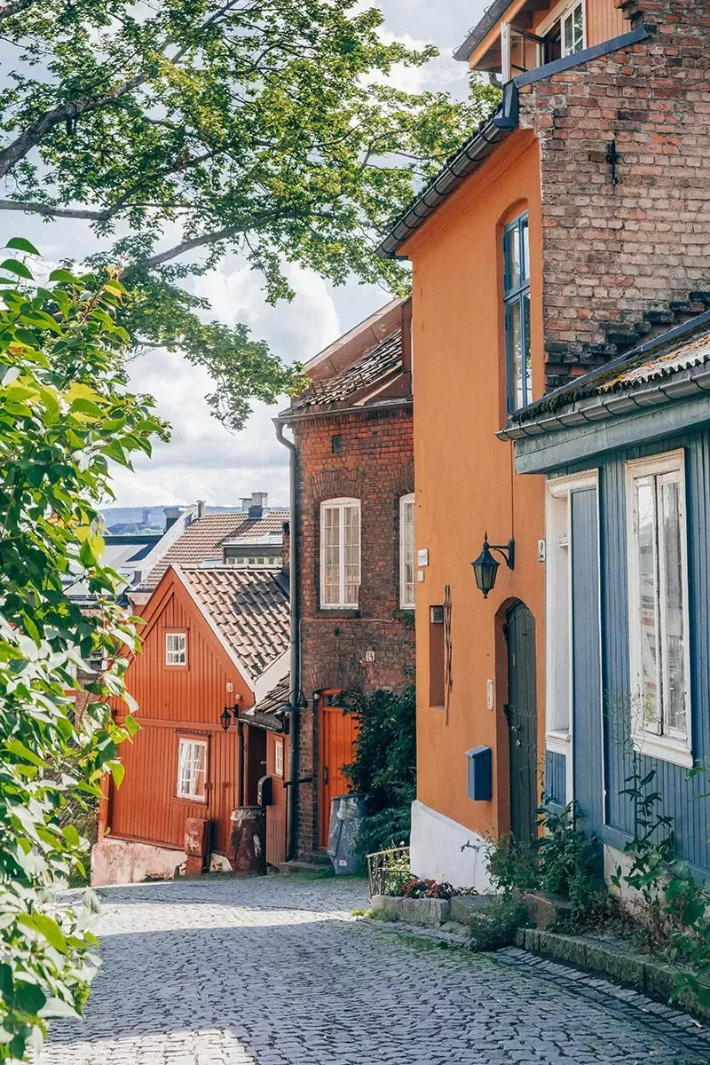 22 Absolutely Free Things to do in Oslo You Shouldn’t Miss