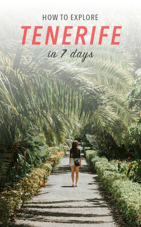 One Week in Tenerife: Itinerary for First-time Visitors