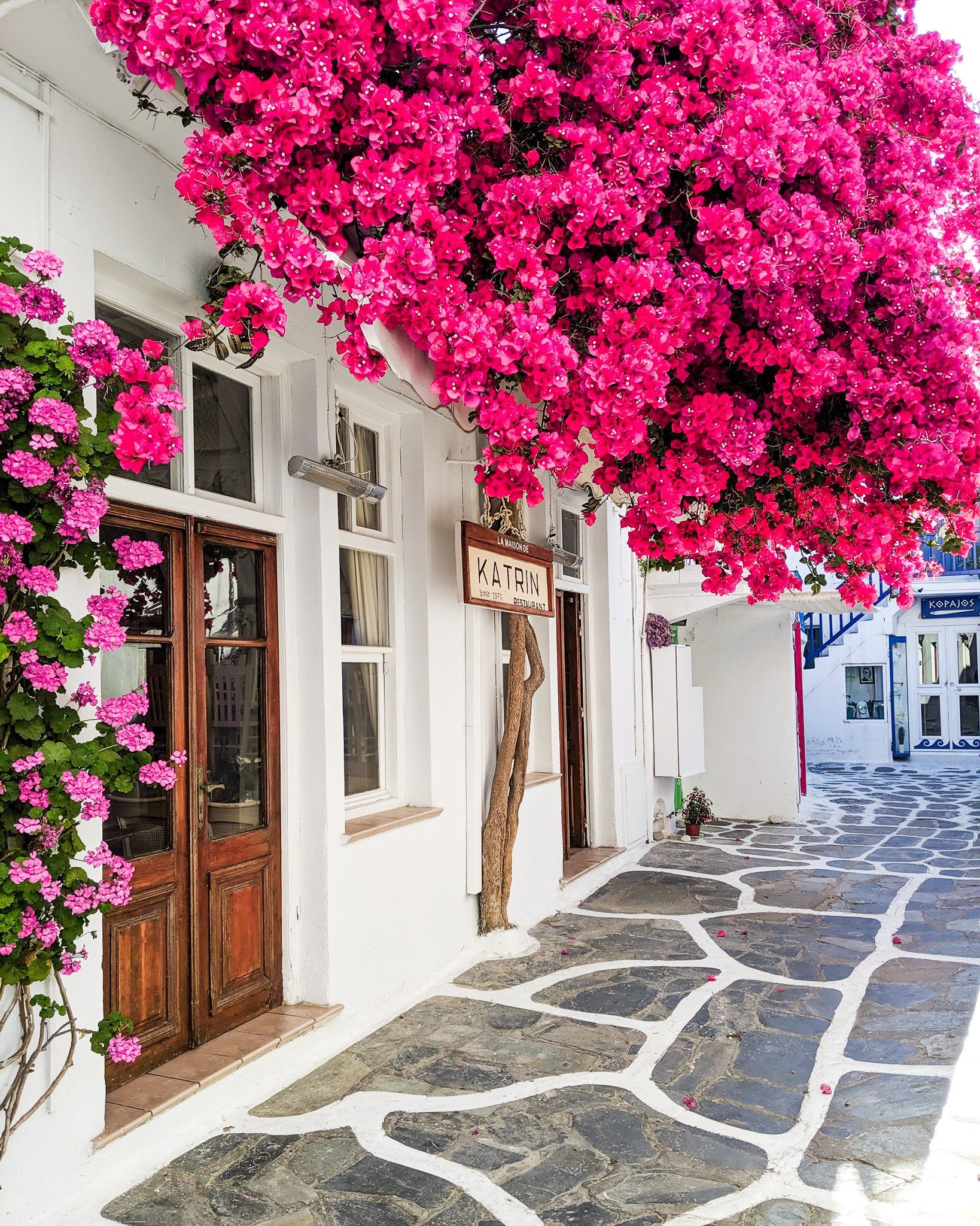 10 BEST Things to do in Mykonos Greece