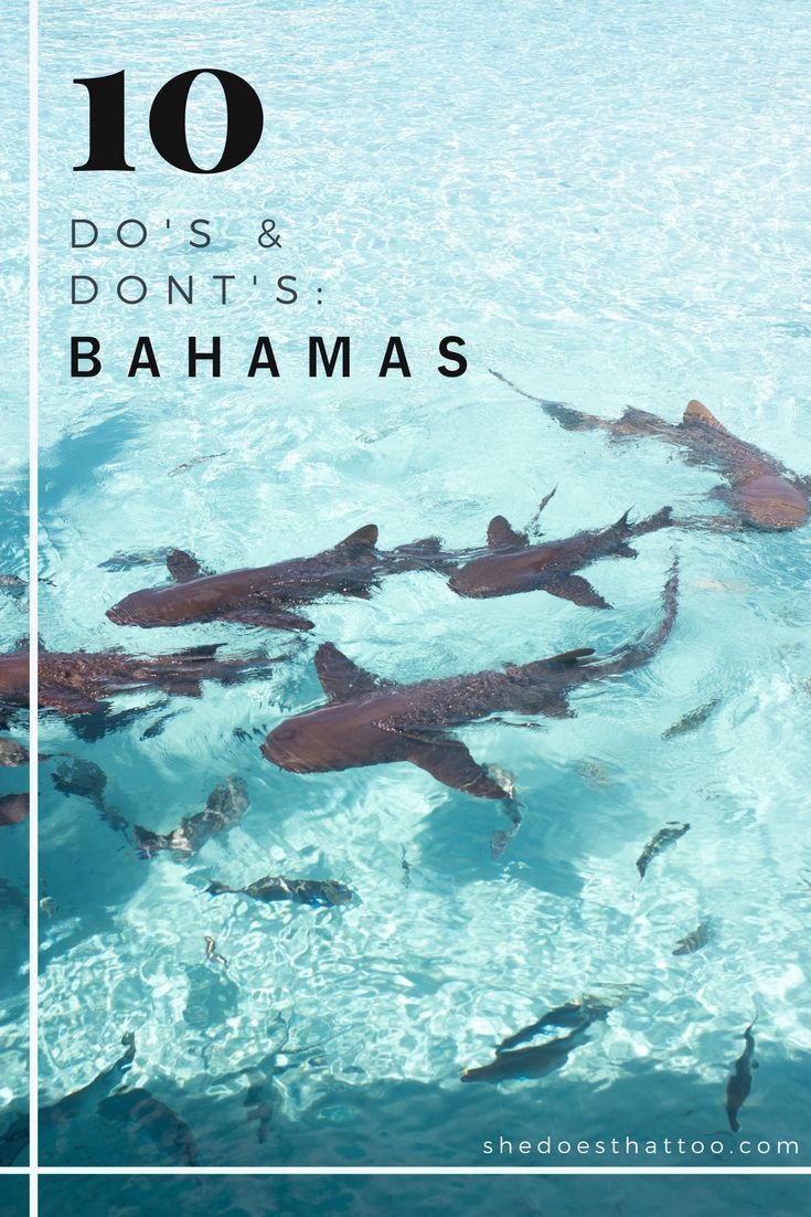 The Ultimate Guide to Bahamas: Do’s and Don’ts – Shedoesthattoo