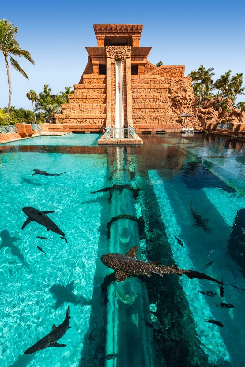 Top 20 Things to Do at Atlantis Bahamas Resort